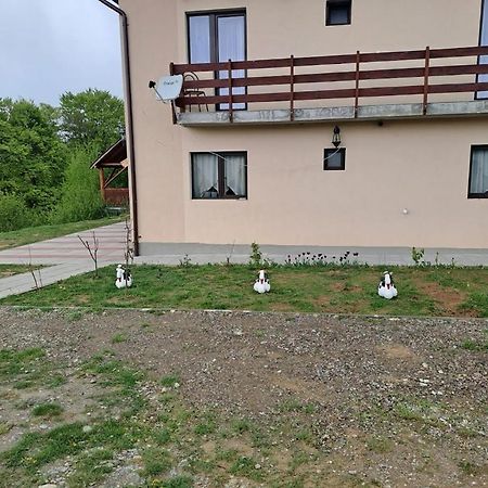 Conacul Elenei Vila Poiana Mărului Exterior foto