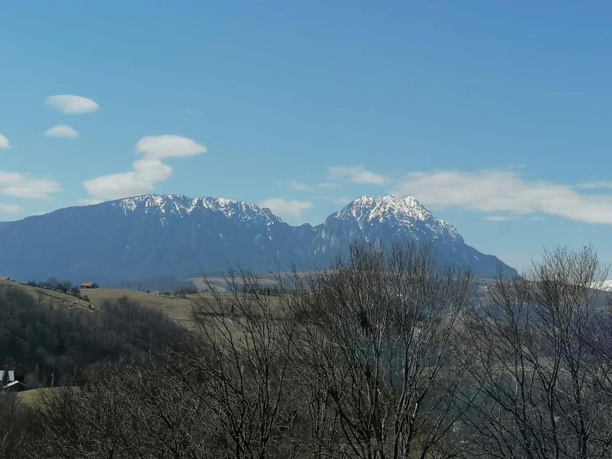 Conacul Elenei Vila Poiana Mărului Exterior foto