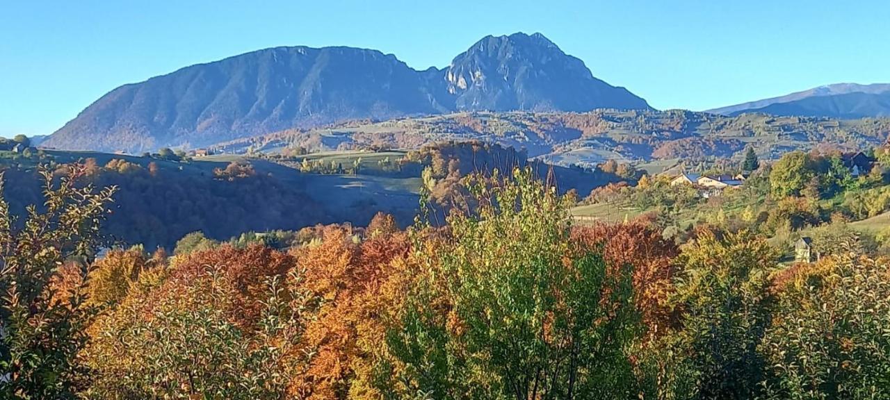 Conacul Elenei Vila Poiana Mărului Exterior foto