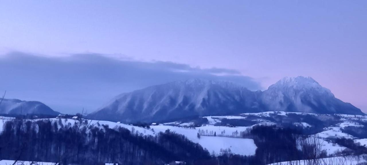 Conacul Elenei Vila Poiana Mărului Exterior foto