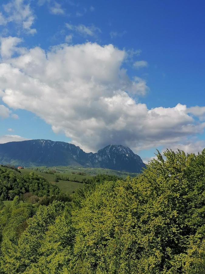 Conacul Elenei Vila Poiana Mărului Exterior foto