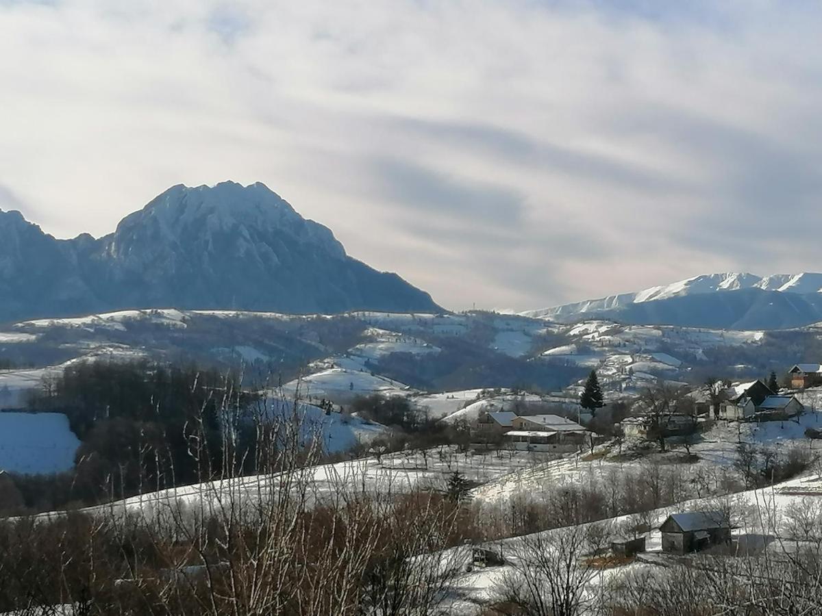 Conacul Elenei Vila Poiana Mărului Exterior foto