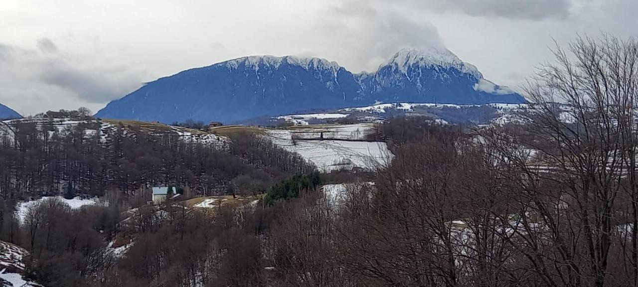 Conacul Elenei Vila Poiana Mărului Exterior foto