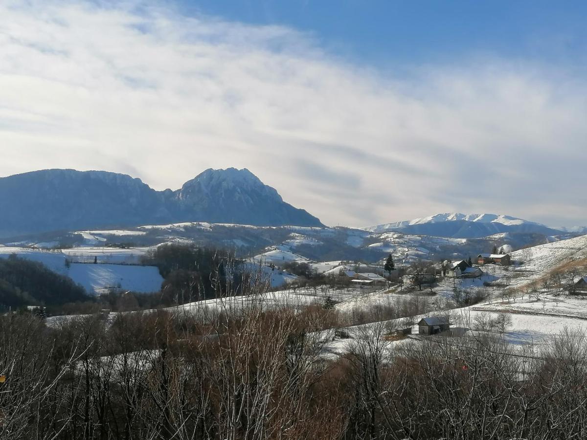 Conacul Elenei Vila Poiana Mărului Exterior foto