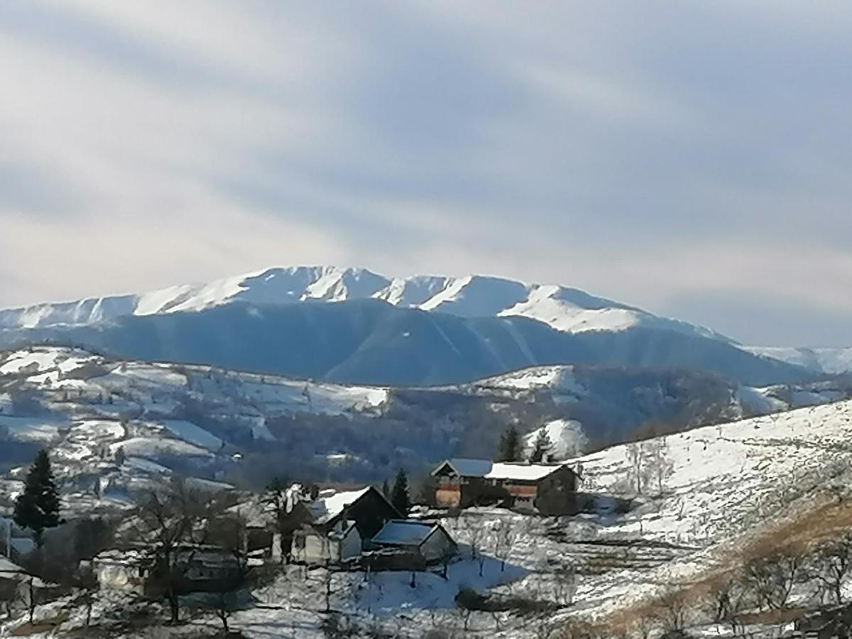 Conacul Elenei Vila Poiana Mărului Exterior foto