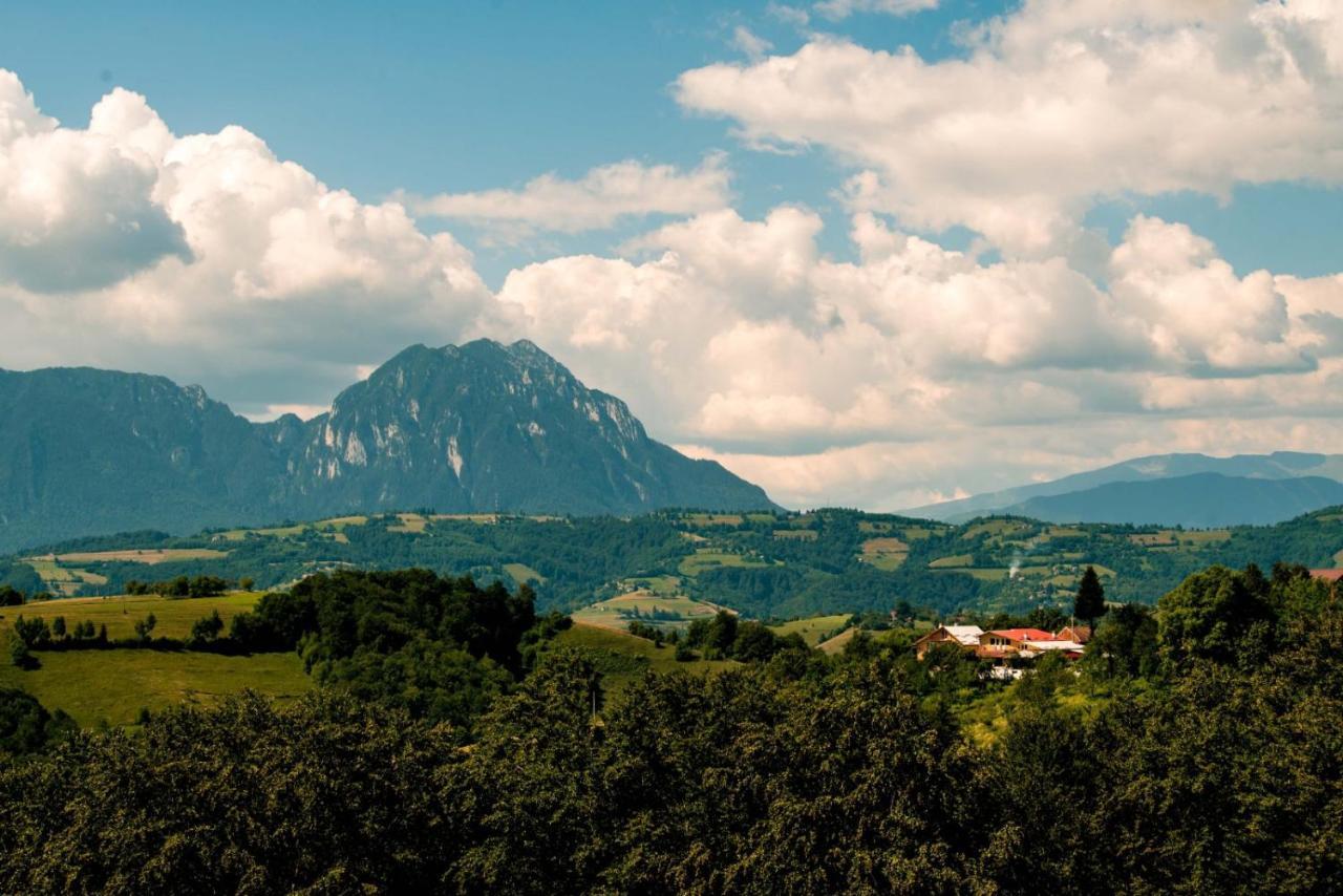 Conacul Elenei Vila Poiana Mărului Exterior foto