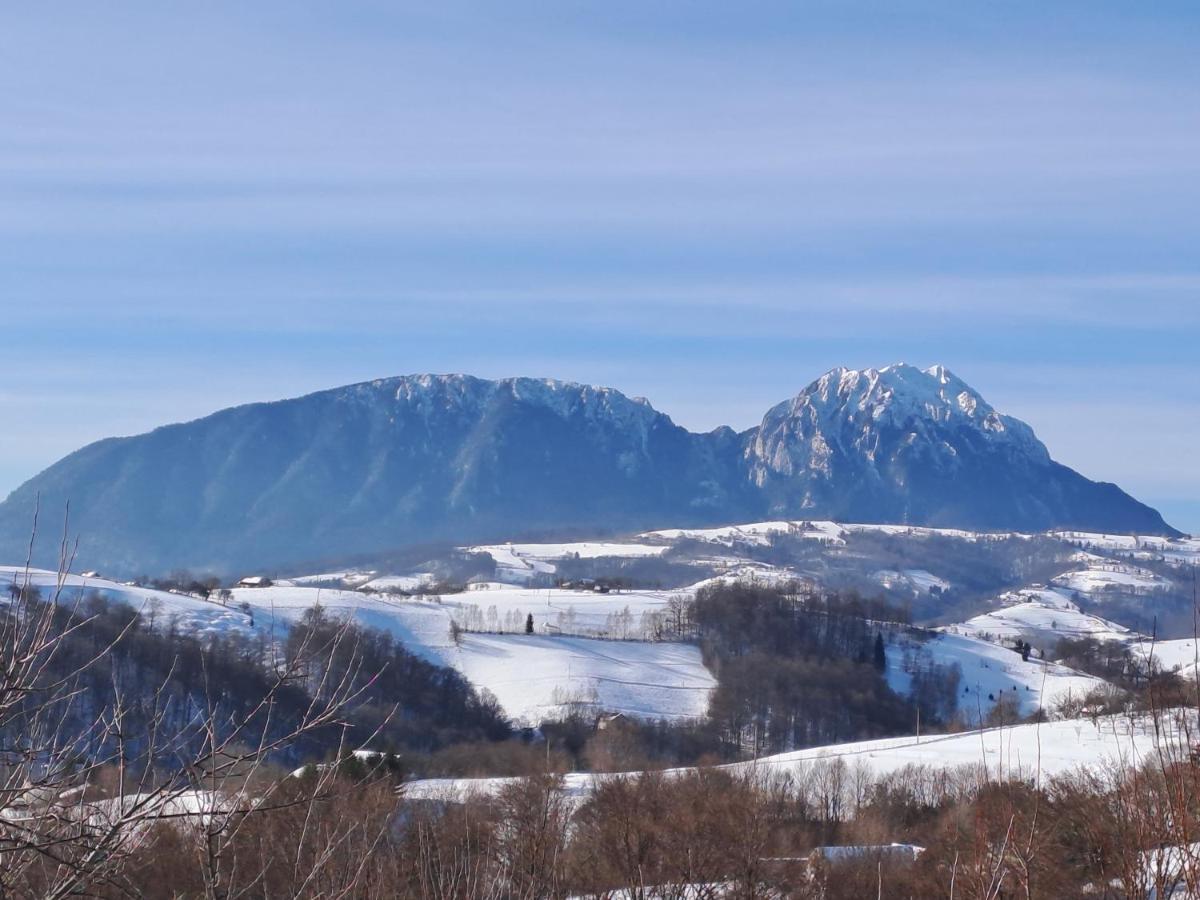 Conacul Elenei Vila Poiana Mărului Exterior foto