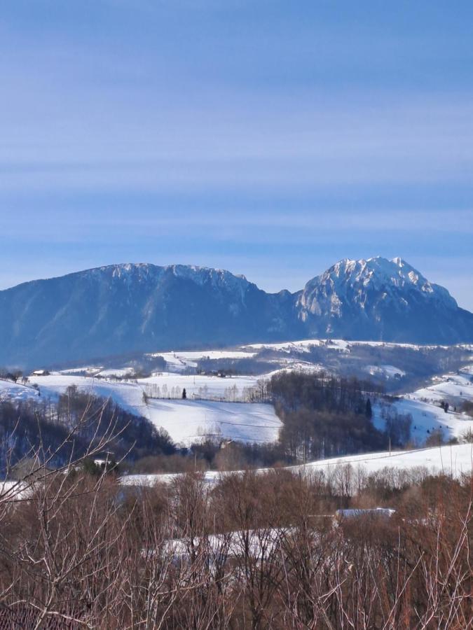 Conacul Elenei Vila Poiana Mărului Exterior foto