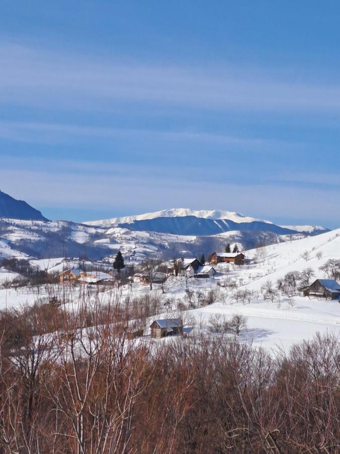 Conacul Elenei Vila Poiana Mărului Exterior foto