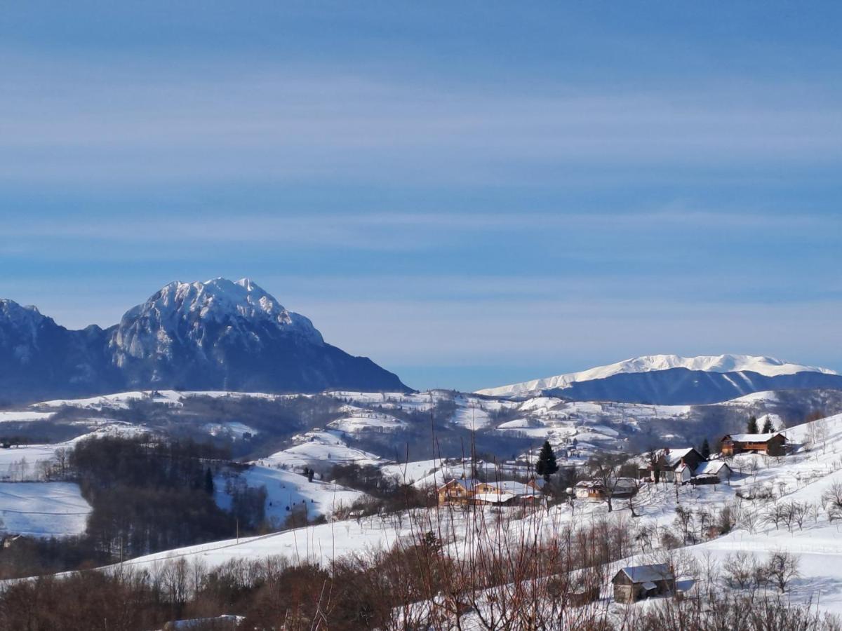 Conacul Elenei Vila Poiana Mărului Exterior foto