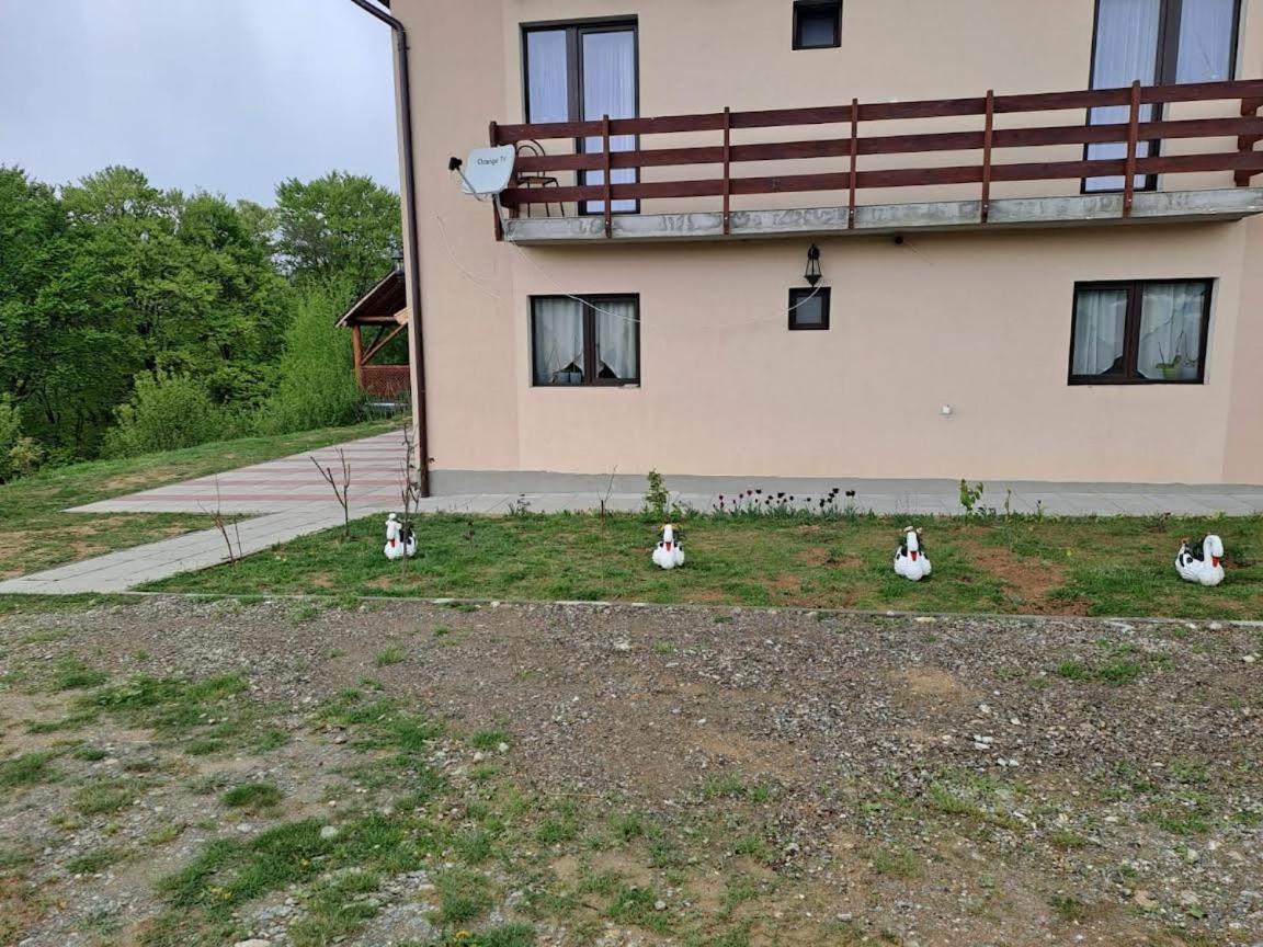 Conacul Elenei Vila Poiana Mărului Exterior foto