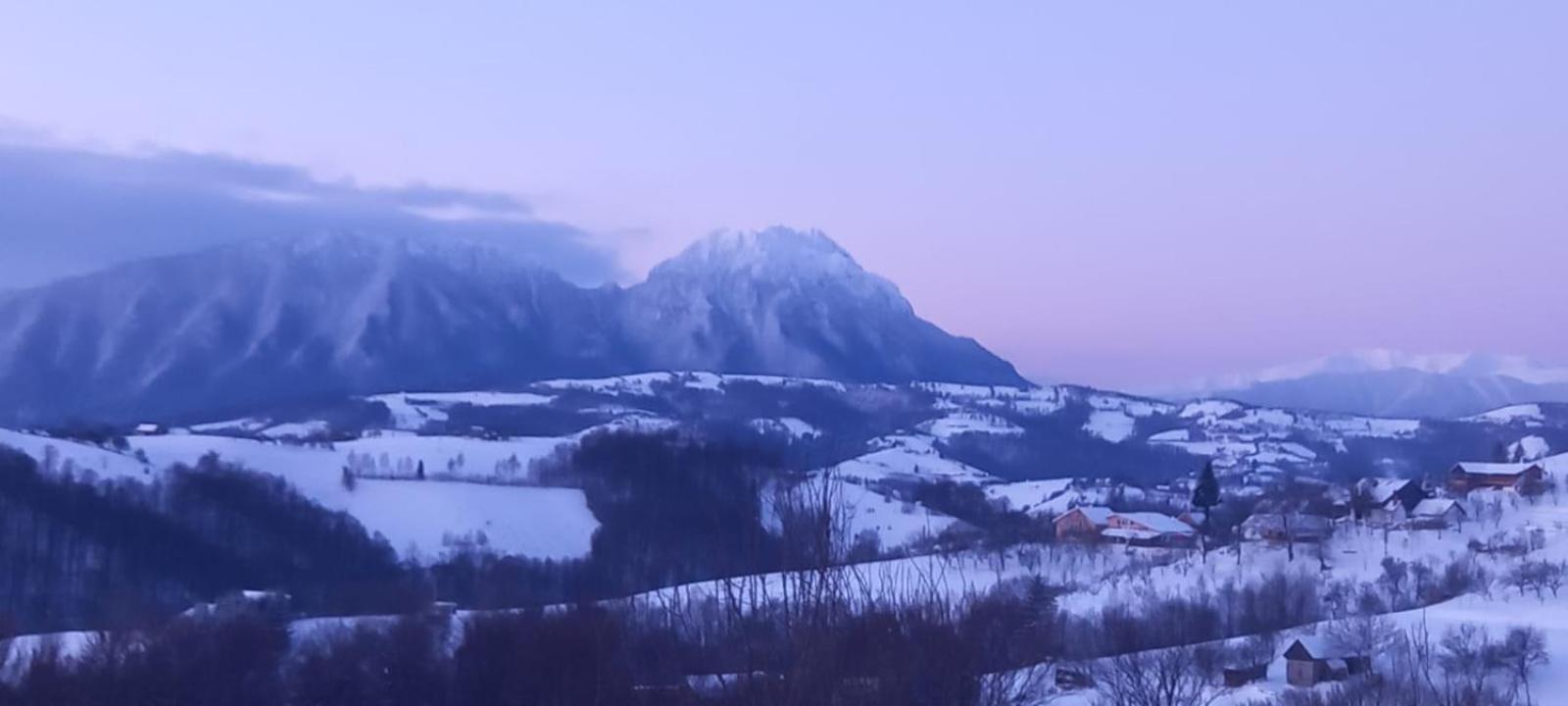 Conacul Elenei Vila Poiana Mărului Quarto foto